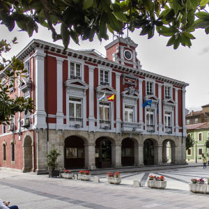 Tienda persianas a medida Mieres